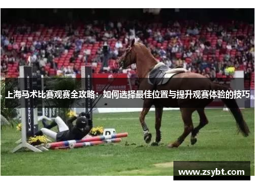 上海马术比赛观赛全攻略：如何选择最佳位置与提升观赛体验的技巧