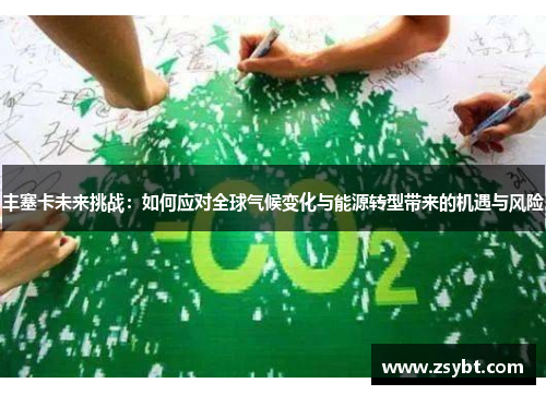 丰塞卡未来挑战：如何应对全球气候变化与能源转型带来的机遇与风险