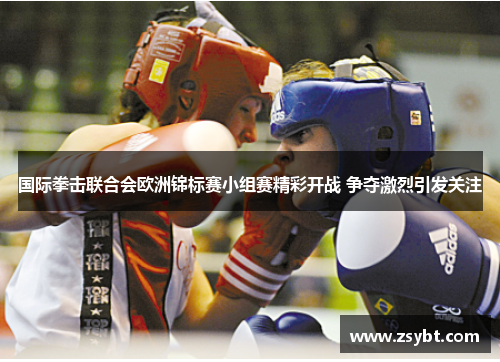 国际拳击联合会欧洲锦标赛小组赛精彩开战 争夺激烈引发关注