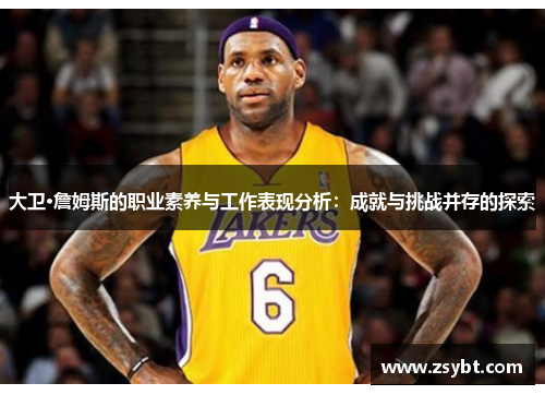 大卫·詹姆斯的职业素养与工作表现分析：成就与挑战并存的探索