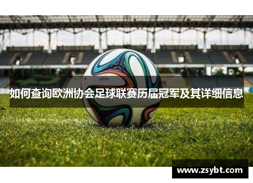 如何查询欧洲协会足球联赛历届冠军及其详细信息