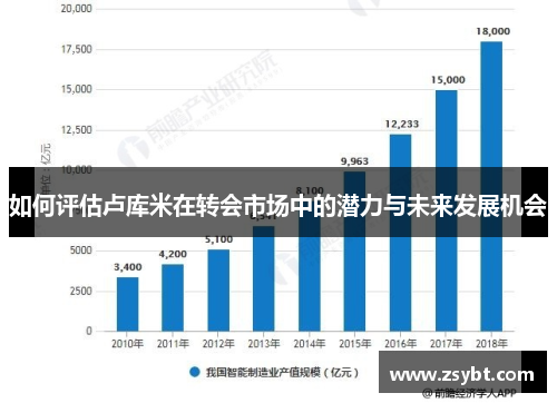 如何评估卢库米在转会市场中的潜力与未来发展机会