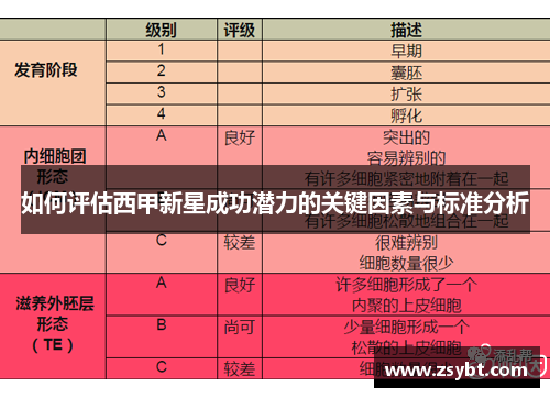 如何评估西甲新星成功潜力的关键因素与标准分析 如何评估西甲新星成功潜力的关键因素与标准分析