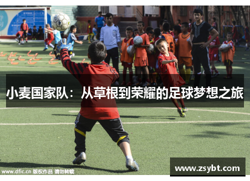 小麦国家队：从草根到荣耀的足球梦想之旅
