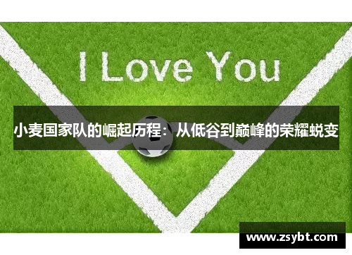 小麦国家队的崛起历程：从低谷到巅峰的荣耀蜕变